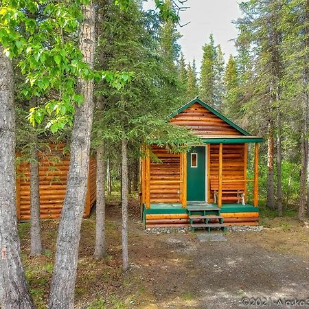 Backwoods Lodge Cantwell Extérieur photo